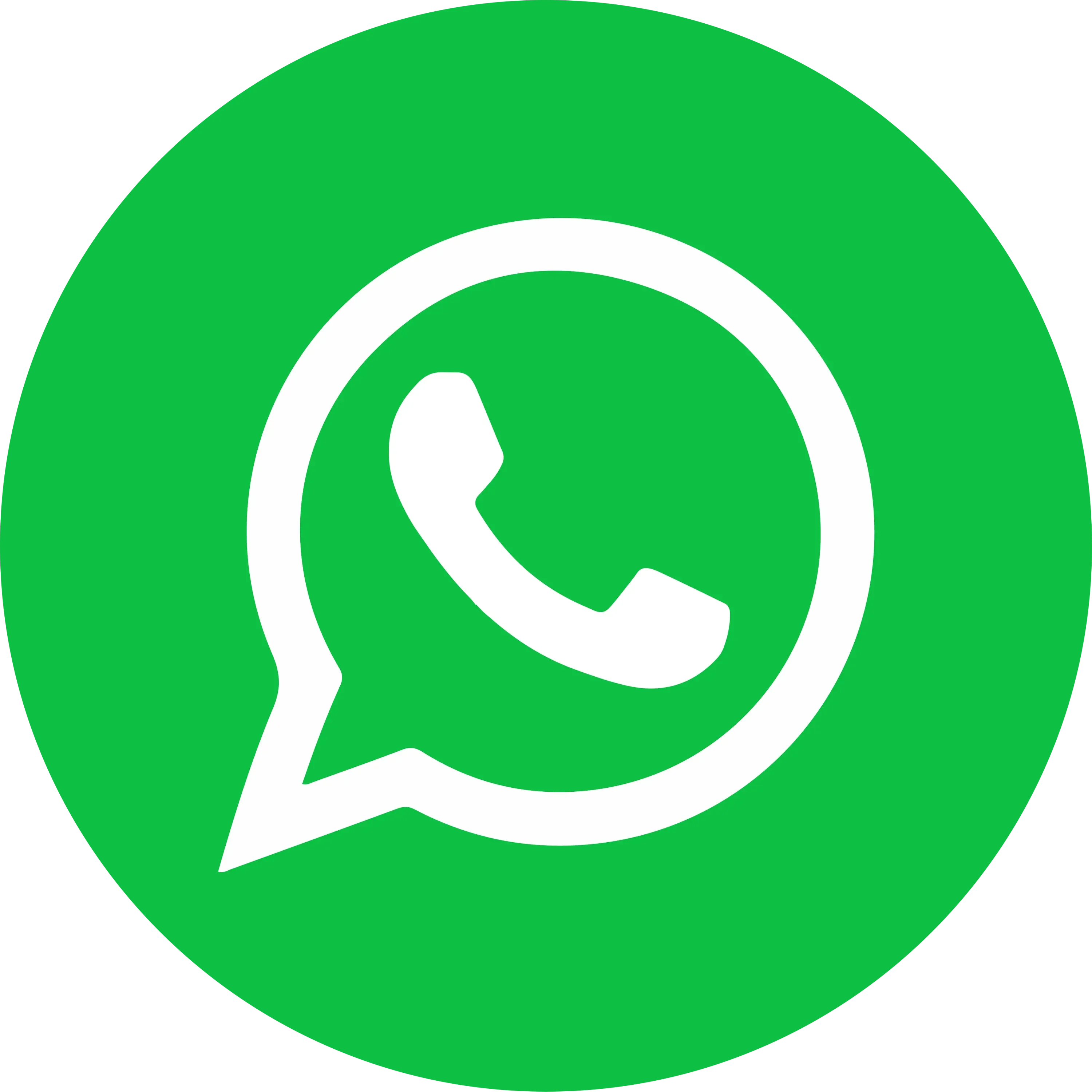 Reservar avistamento de baleias pelo WhatsApp